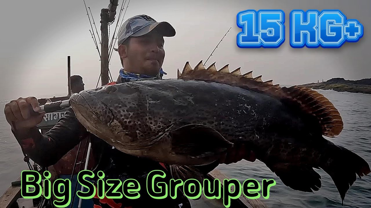 Caught: The Giant Grouper That Almost Got Away