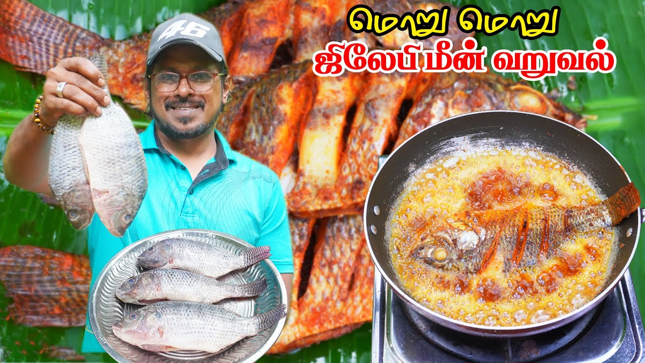 இந்த ஒரு மசாலா போதும்! மொறு மொறு ஜிலேபி மீன் வறுவல் |Tilapia Fish Fry Tamil