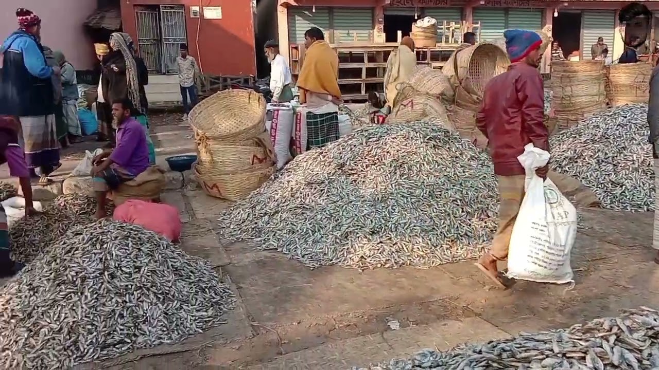 শুকনা মাছের বাজার মোহনগঞ্জ নেত্রকোনা