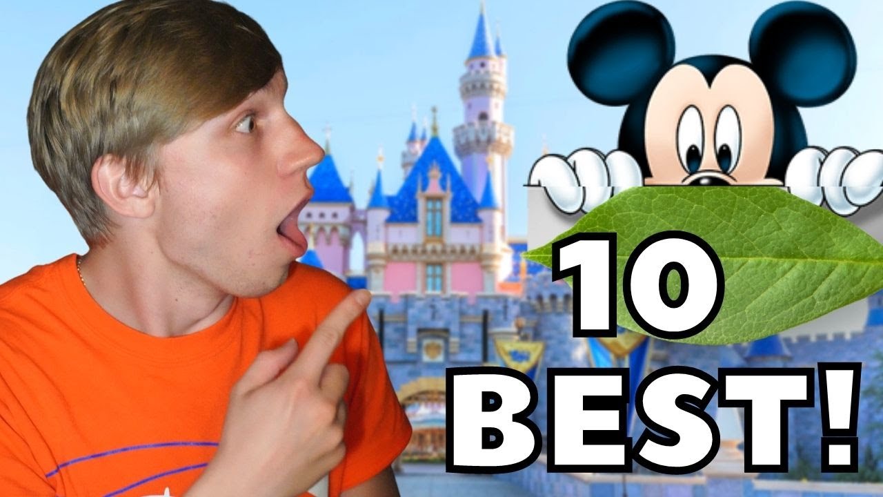 10 of the BEST Hidden Mickey's at Disneyland!