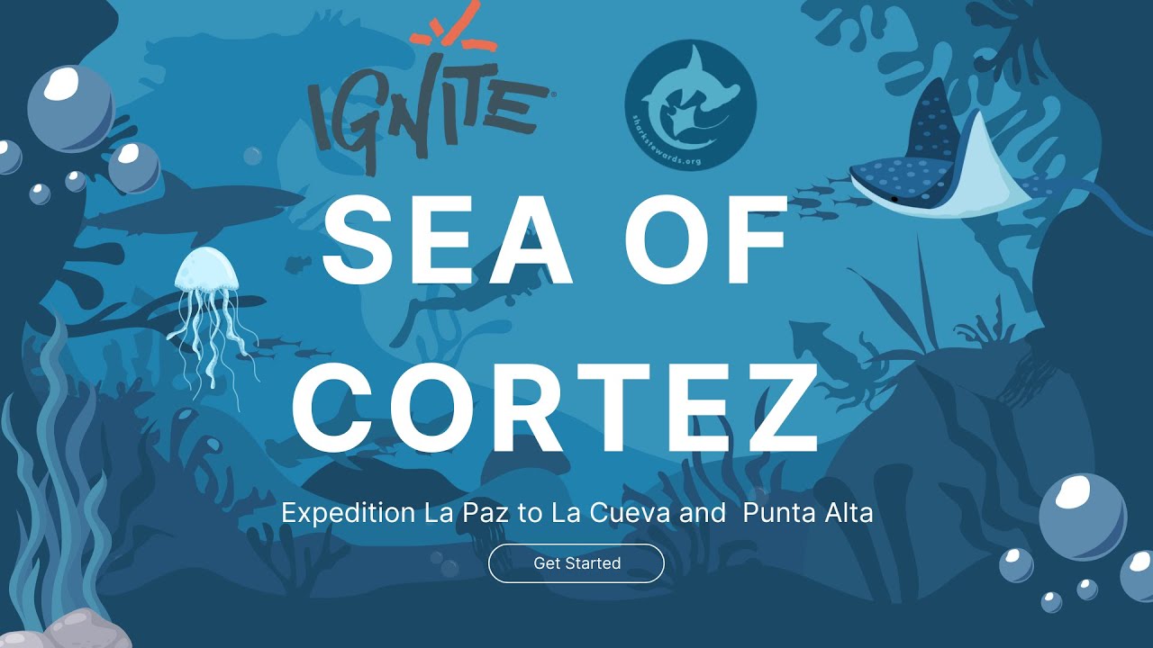 Baja Adventure Shark Stewards and Ignite Foundation