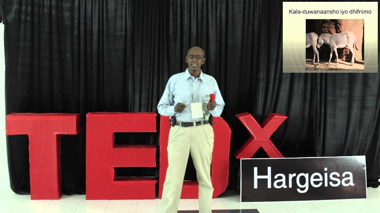 Protecting Our Environment, Safeguarding Our Future. | Ahmed Ibrahim Awale | TEDxHargeisa