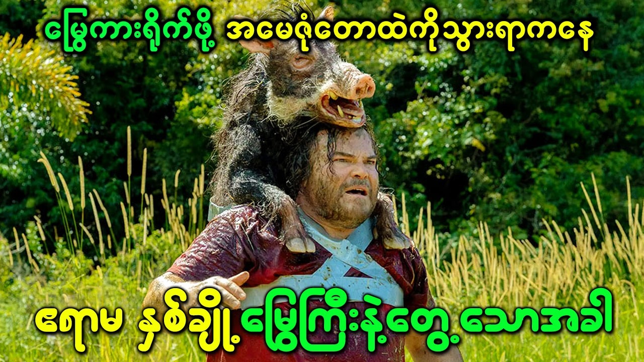 မြွေကားရိုက်ဖို့ အမေဇုံတောထဲကို သွားရာကနေ ဧရာမ နှစ်ချို့မြွေကြီးနဲ့တွေ့သောအခါ