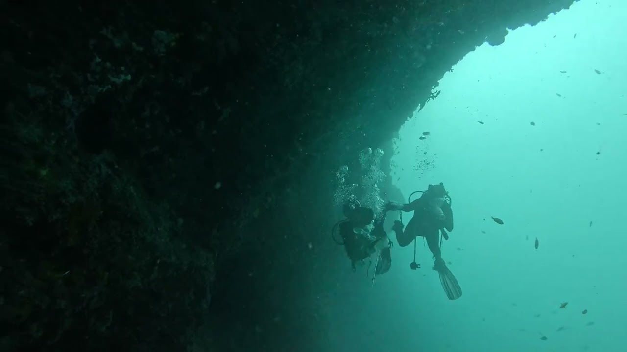 2026.02.28 08 FUN BOAT DIVESTORY MOALBOAL