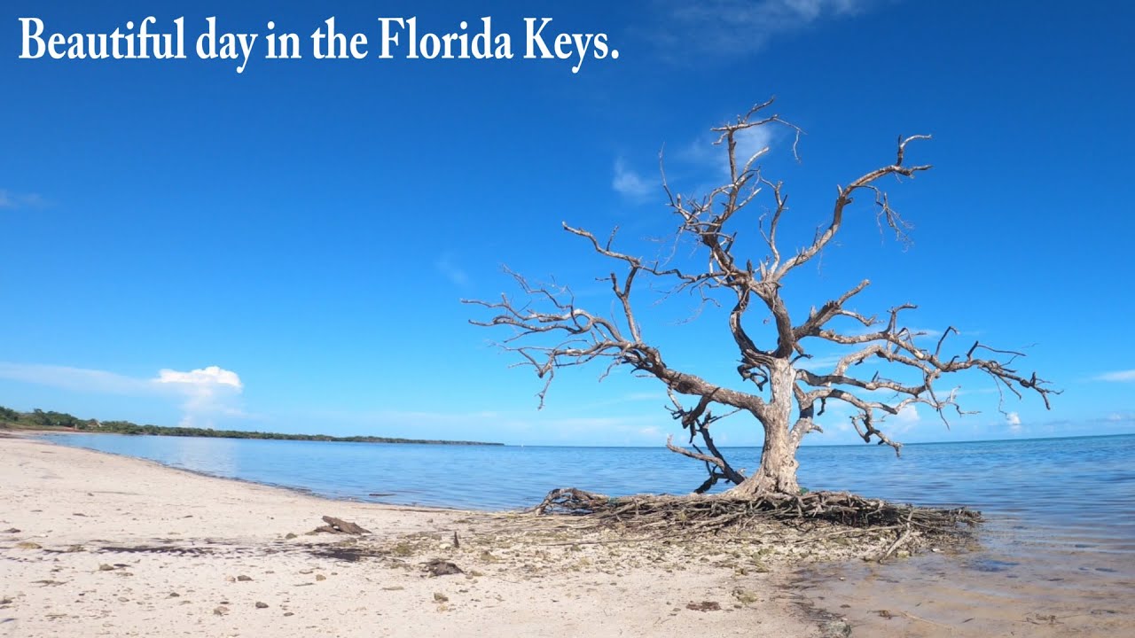 Fishing Prospecting - Long Key State Park