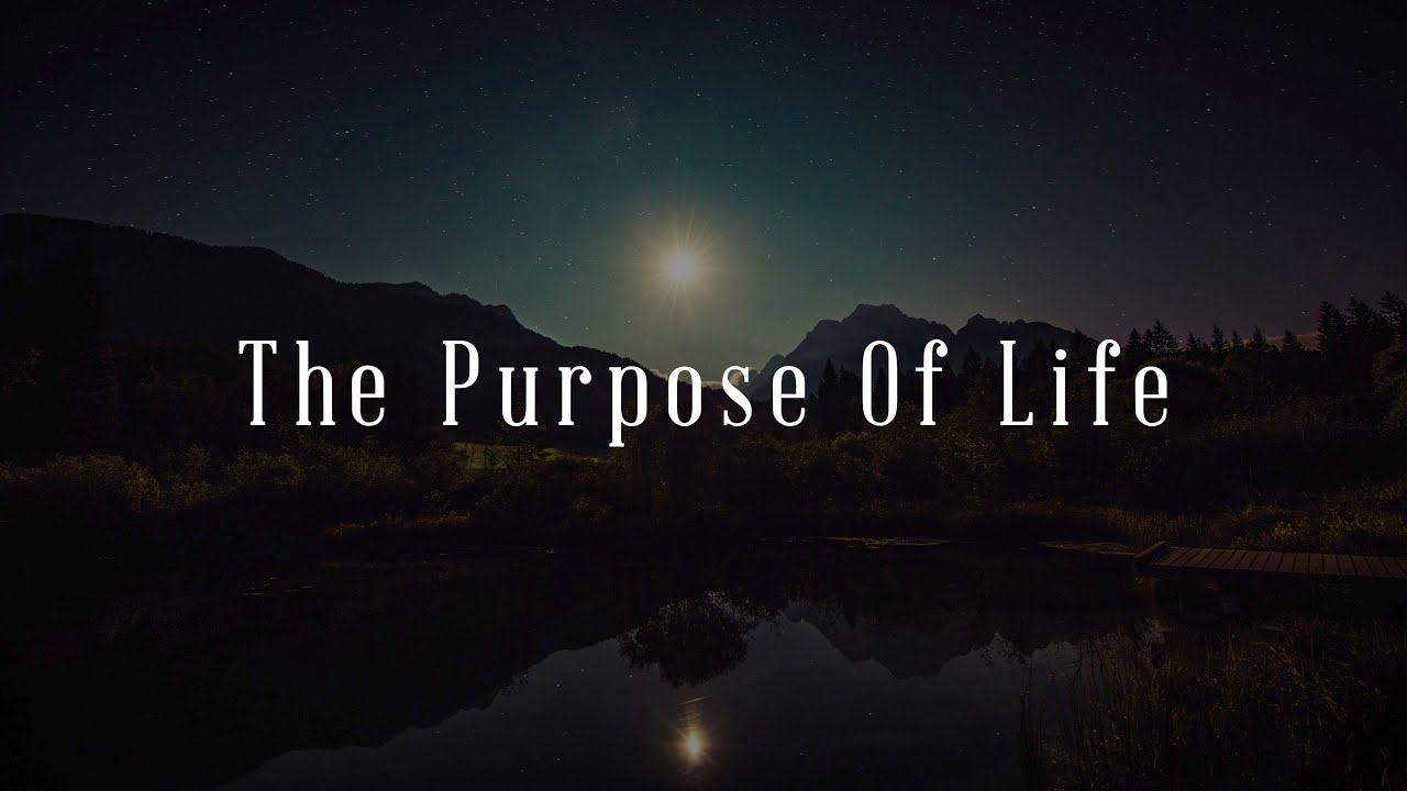 The Purpose Of Life (David Wilkerson)