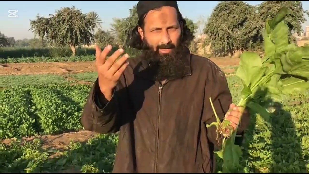 Village early morning vlogs #viral #foryou#