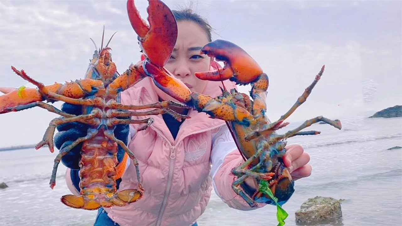 Омары и осьминоги появляются из области рифа! Какой сюрприз !