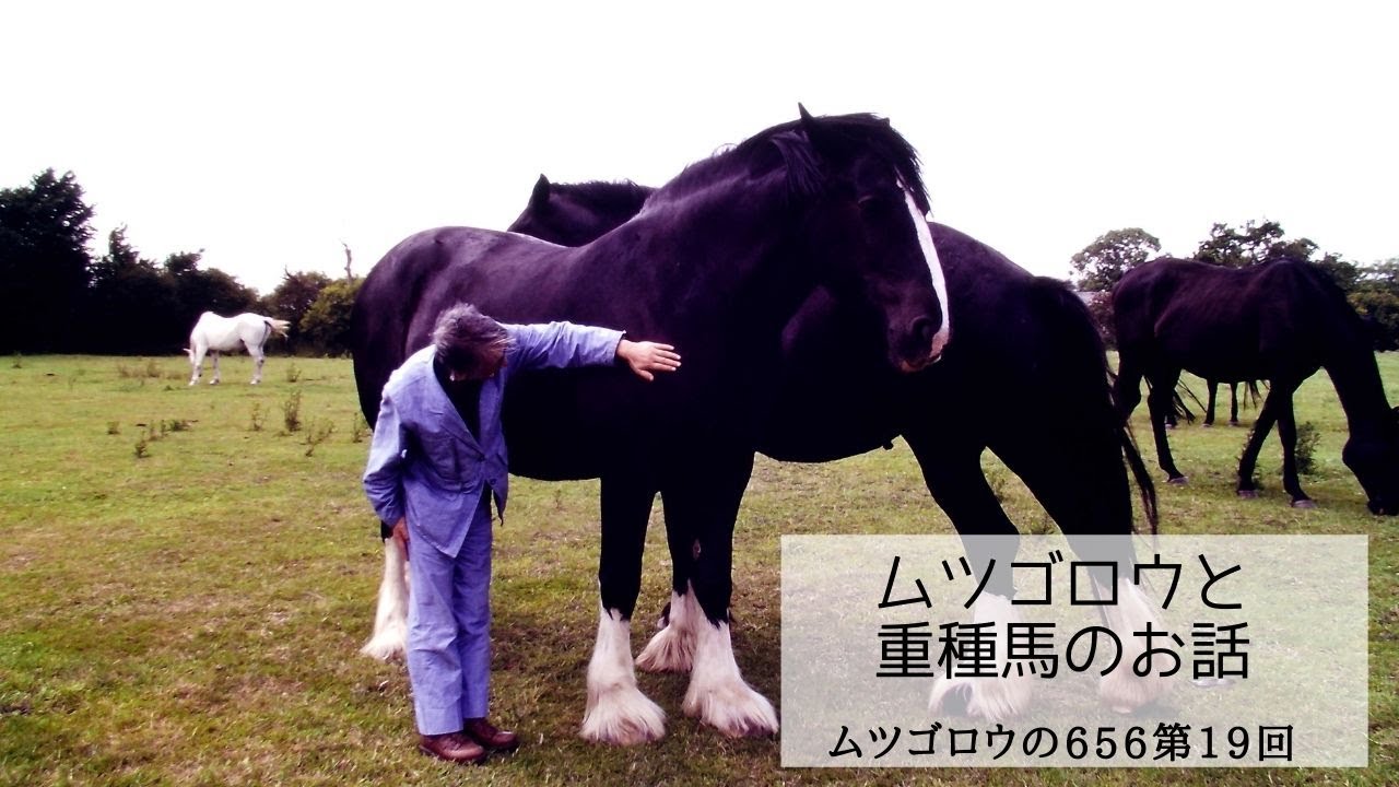 第19回　ムツゴロウと重種馬のお話