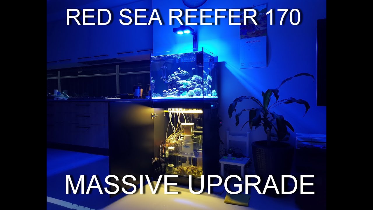 Red Sea Reefer 170 - Reefdoser Evo 4 Dosing Pump