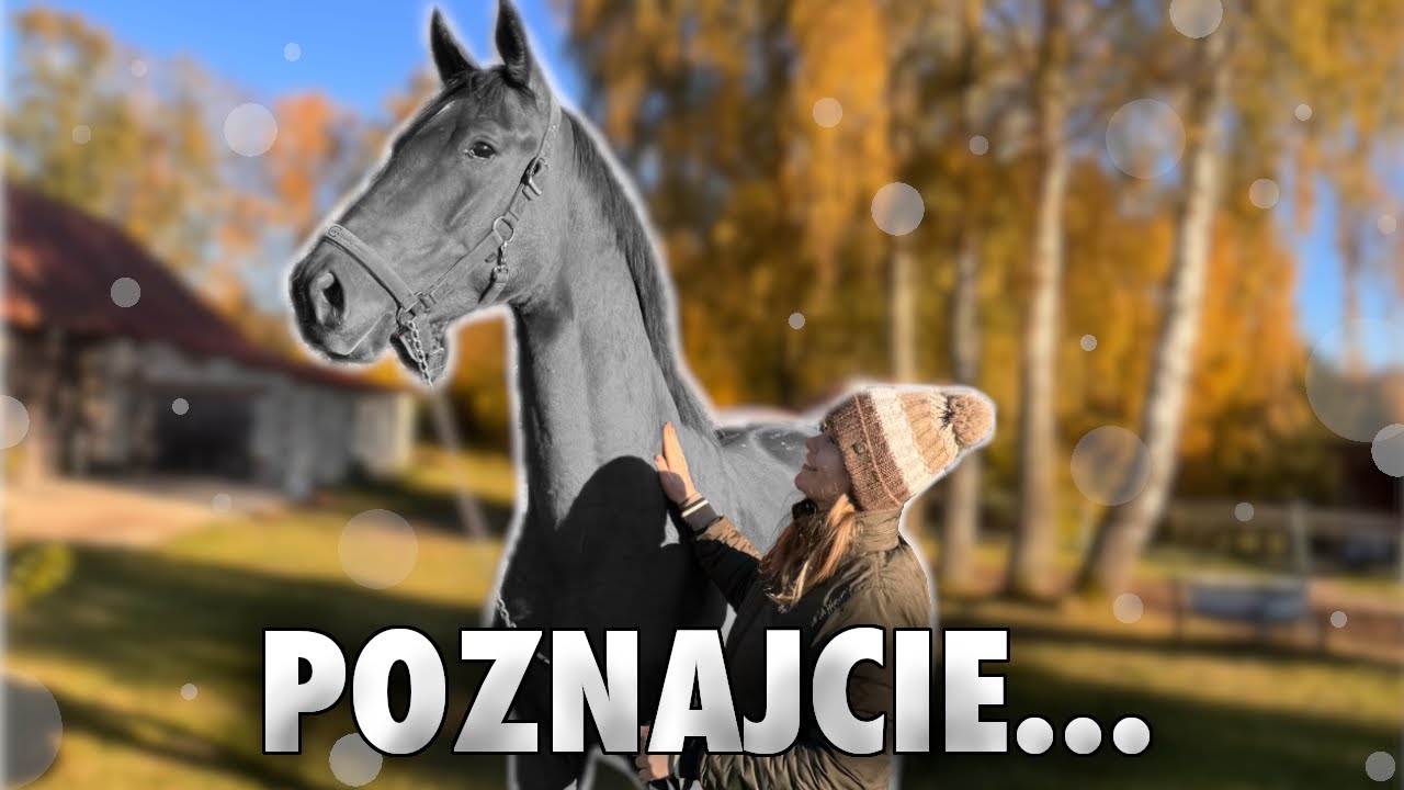POWITAJCIE NOWEGO KONIA W ZESPOLE! | VLOG #416