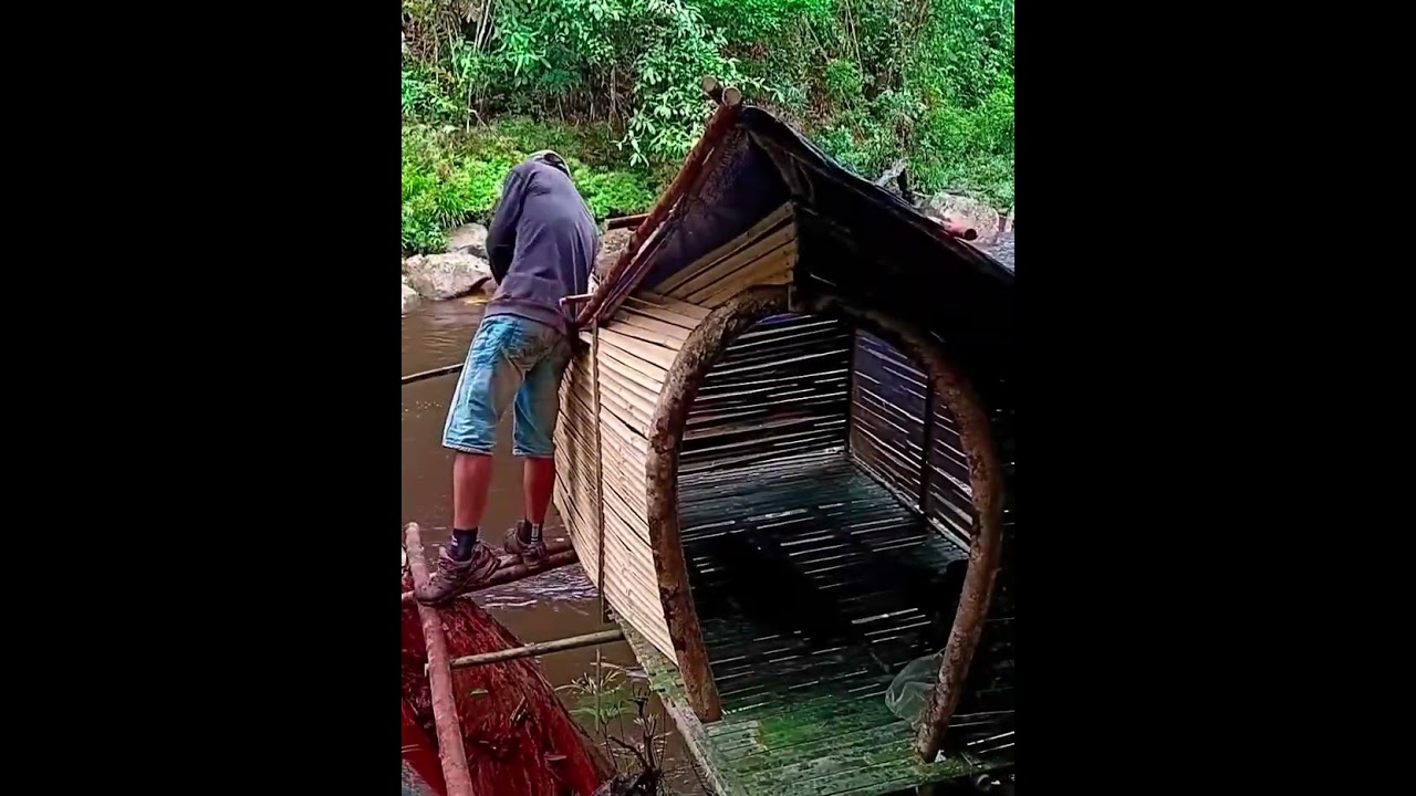 Membuat tmpt berlindung saat solo camping.#survival #campping#bushcraft #subscribe #solocampinghutan