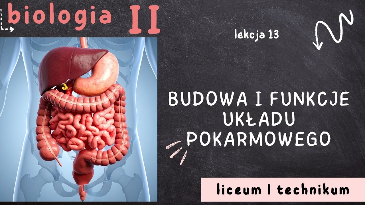 Biologia 2 LO [Lekcja 13: Budowa i funkcje układu pokarmowego]