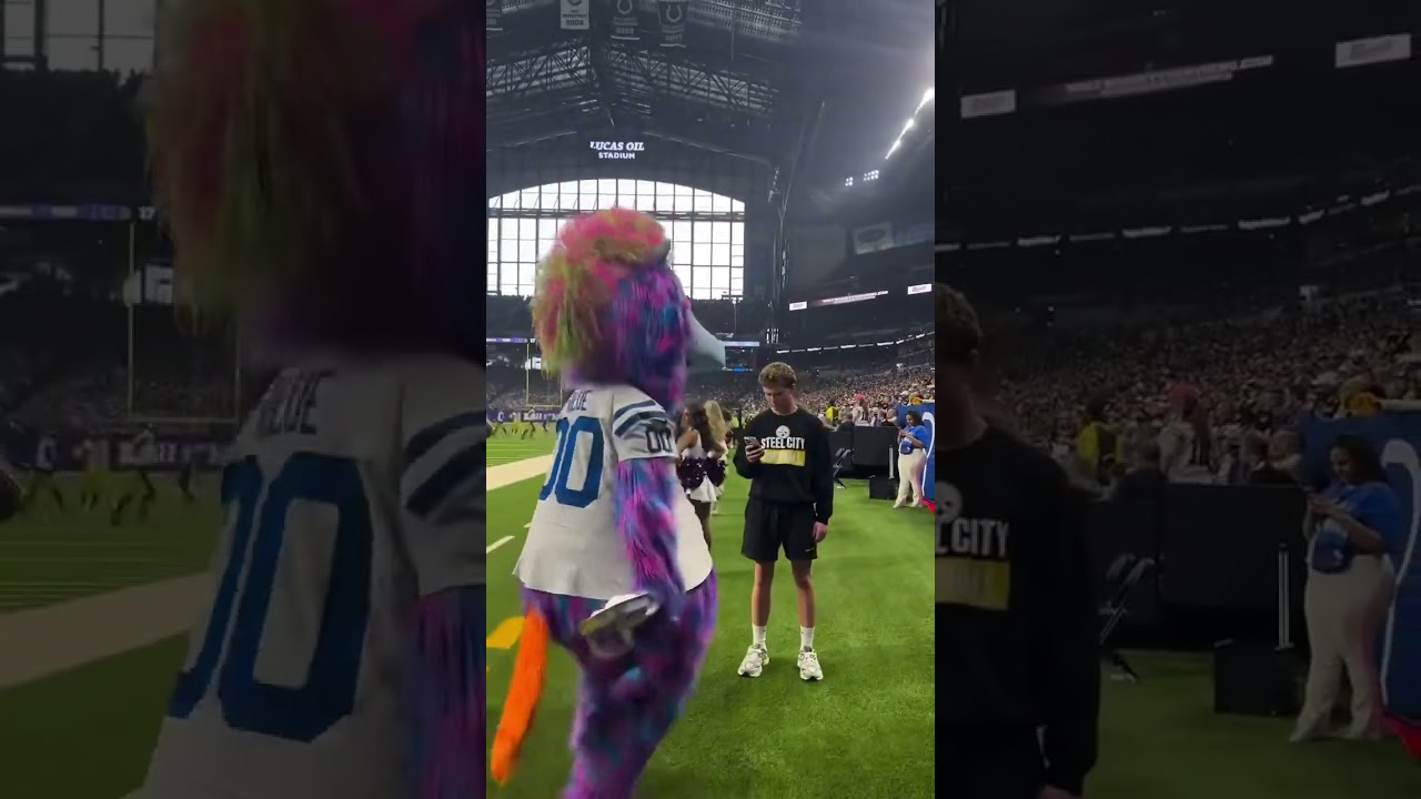 Mascote Blue, dos Colts, saiu dando tortada em torcedores dos Steelers depois de vencer Pittsburgh