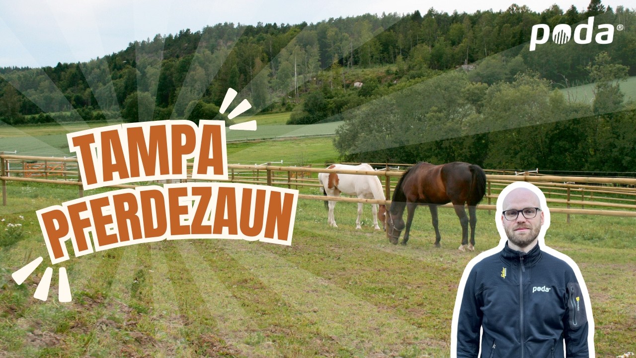 Halbriegelzaun f&uuml;r Pferde | Poda Zaun