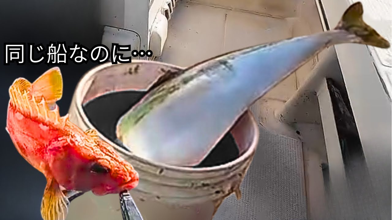 【丹後ブリ大爆釣】プロ級と釣果の差が出た理由は？