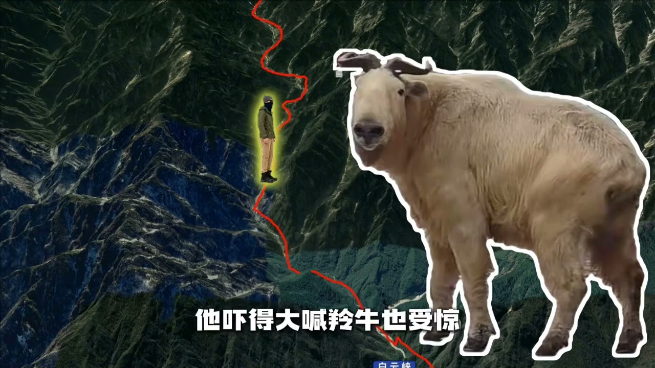 一名男子在网上看过“猛蛇过江”的鳌太徒步视频后觉得没有什么难度，便在11月11号一个人挑战鳌太线（二）