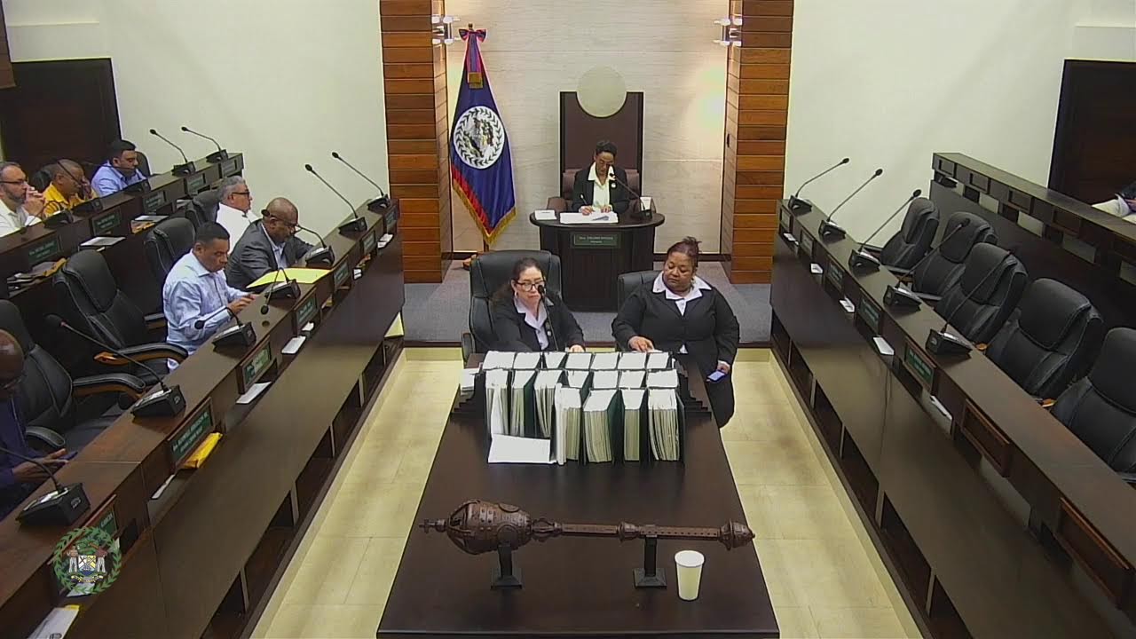 Sitting of the House of Representatives | Feb. 6, 2026