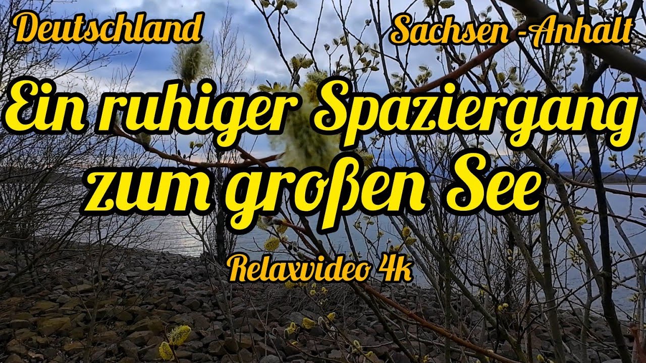 Ein ruhiger Spaziergang zu einem großen See. (4K)