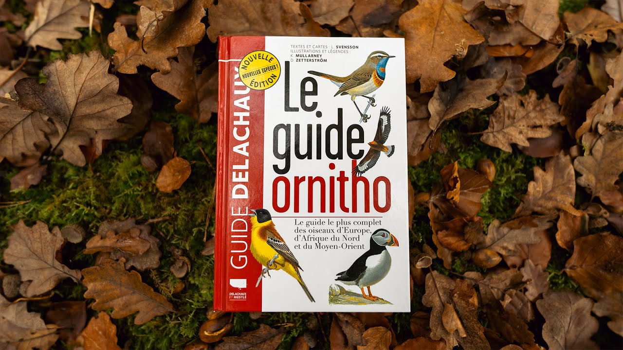 Idées cadeaux : 25 livres sur la nature
