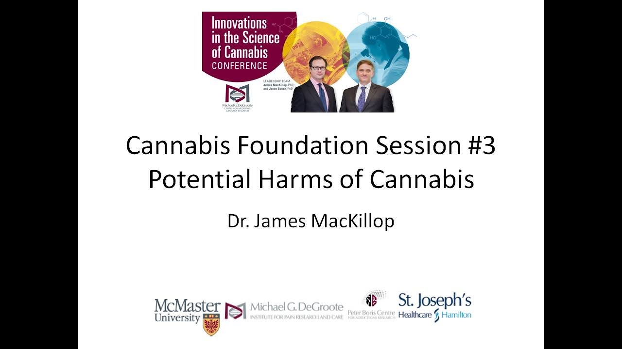 Cannabis Foundations Session #3: Potential Risks and Harm