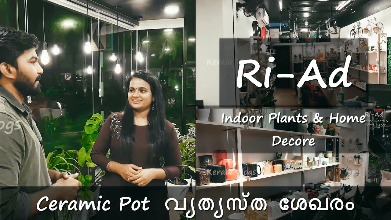 Ceramic Pot  വ്യത്യസ്ത  ശേഖരം | Ri-Ad Indoor plants & Home Decore | kerala vlogs channel |