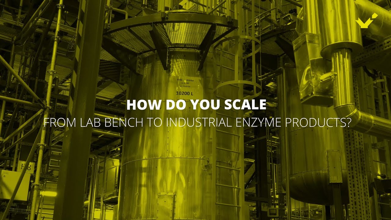 MADE SIMPLE | How do you scale from Lab bench to Industrial enzyme products?