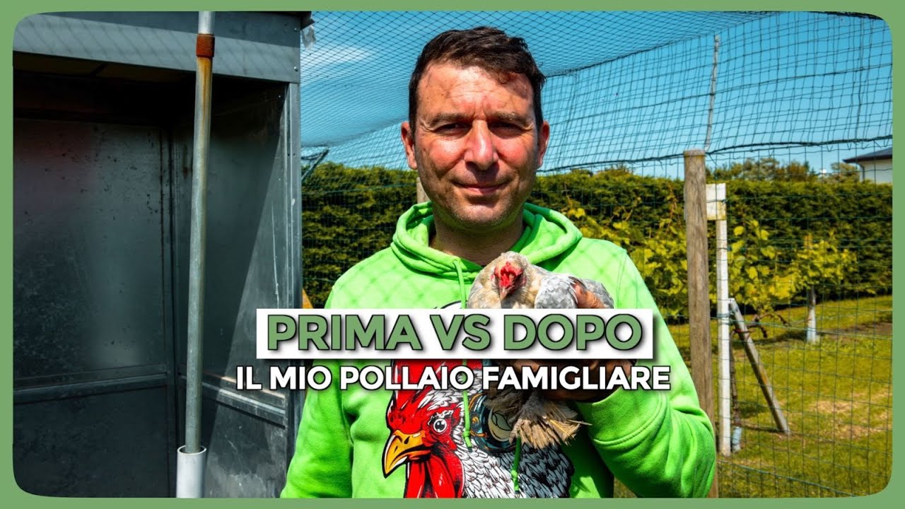 Il Mio Pollaio Famigliare Dopo Anni: Com’è Cresciuto e Chi lo Abita Oggi