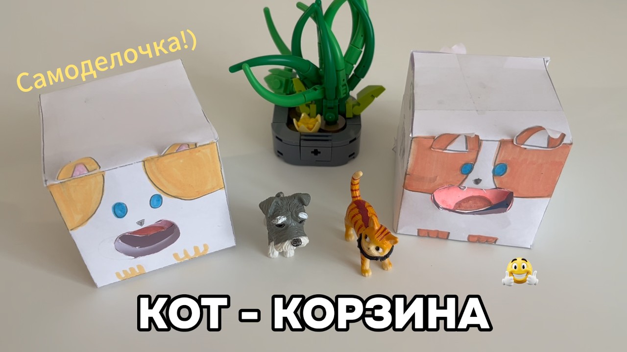 Кот-корзина