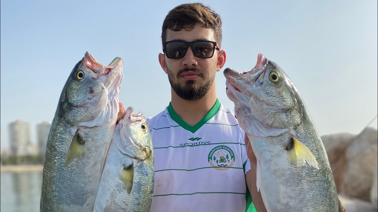 Mersin Kofana avı - Bluefish Attack