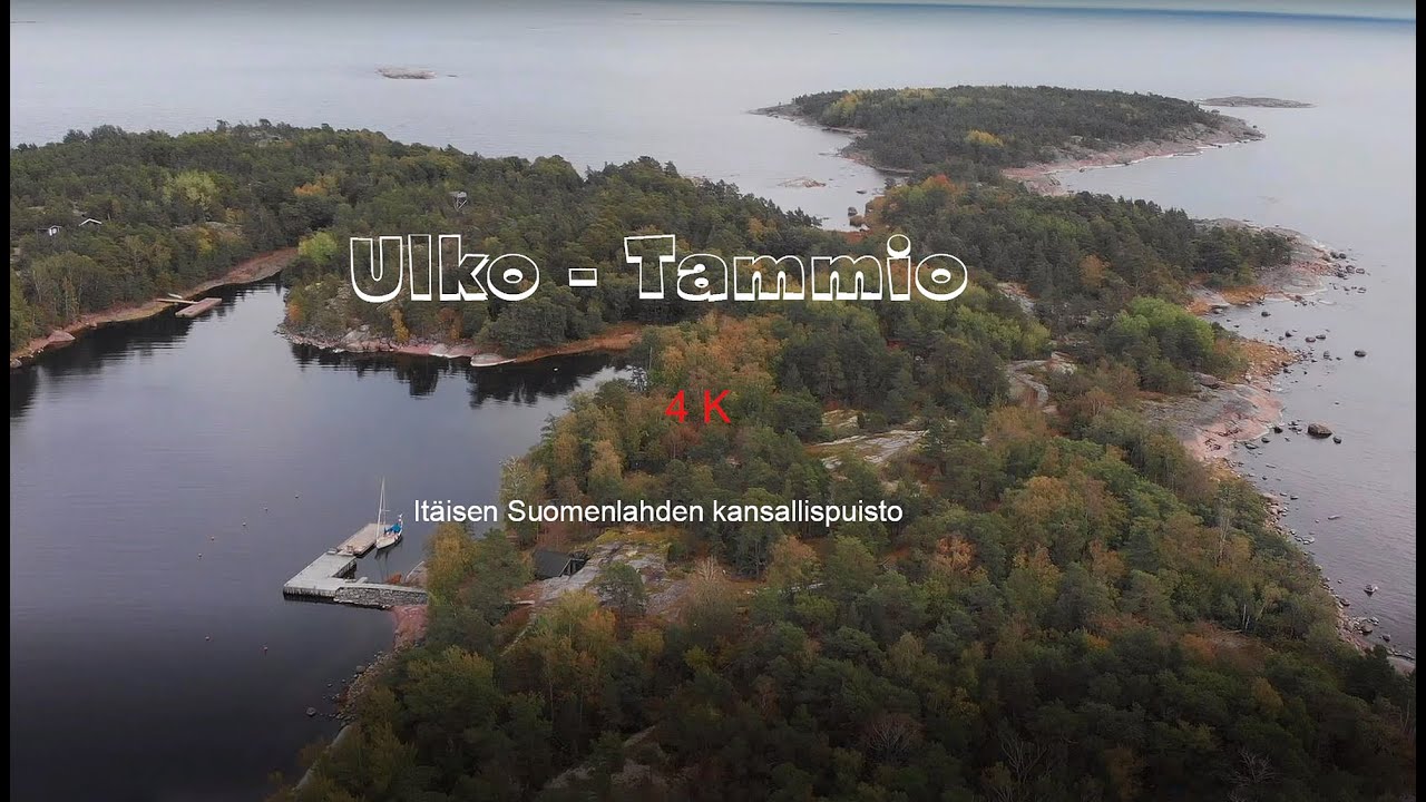 Ulko - Tammion syksy  4K UHD