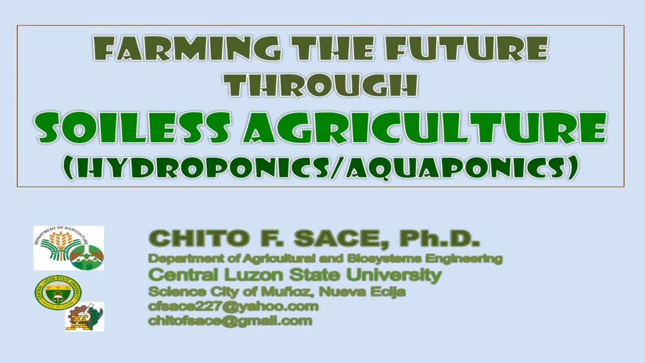 Farming the Future through Soiless Agriculture