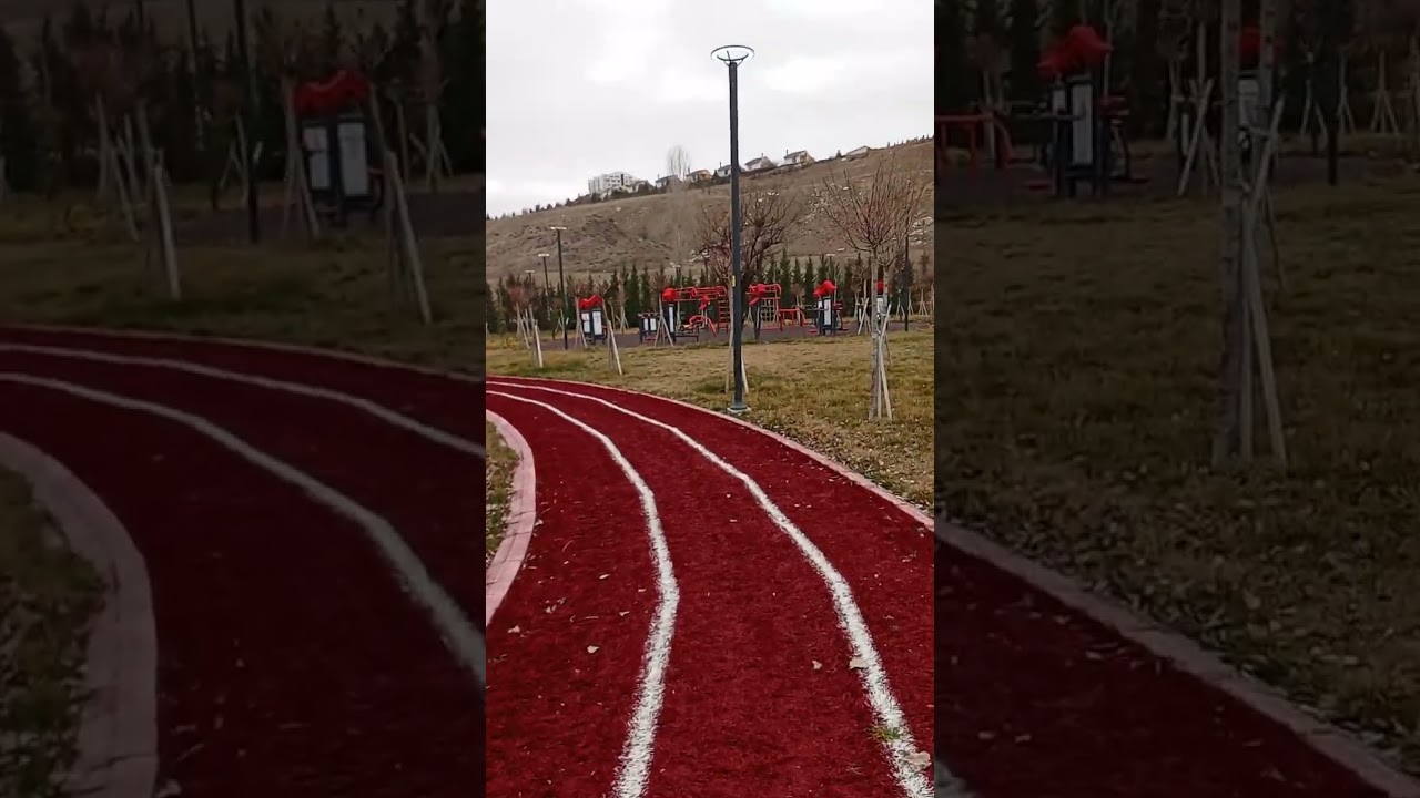 Park Yürüyüşleri... Hobiler ve Hi-Fi Üzerine Sohbet