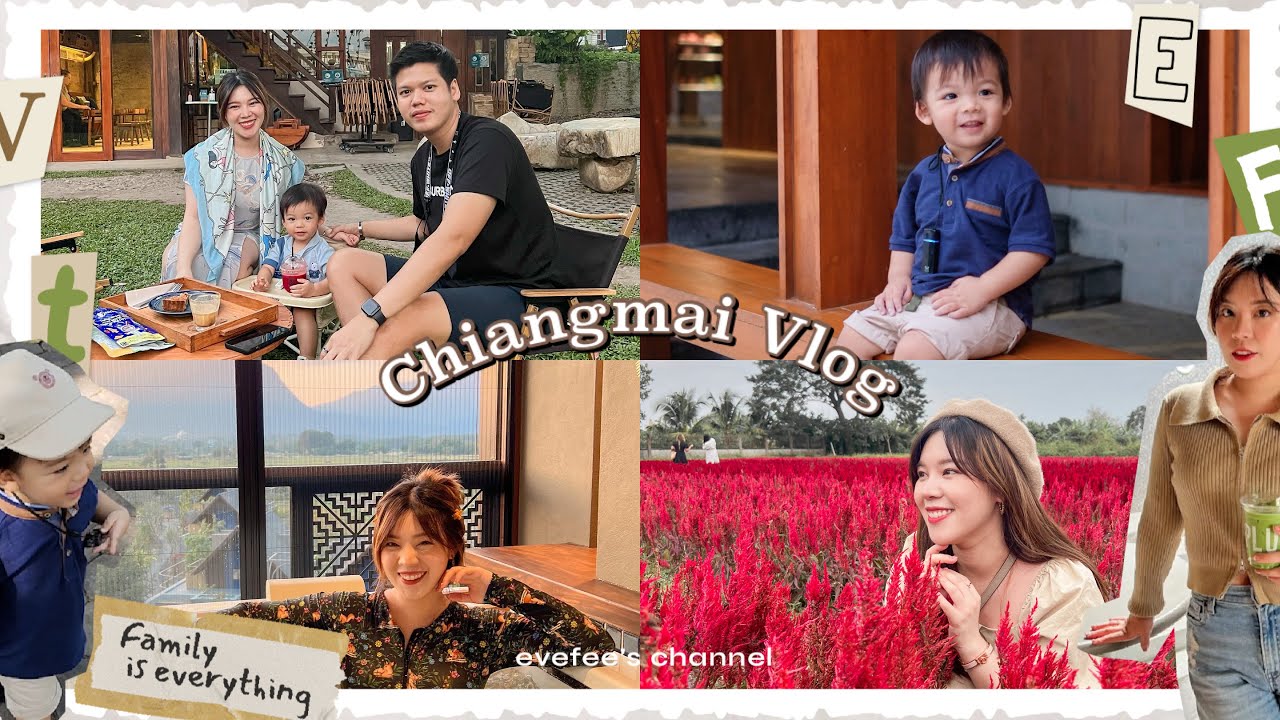 Vlog แอ่วเชียงใหม่กัน 3 คน พ่อ แม่ ลูก อาทิตย์นึงจุกๆไปเลยจ้าววว🌳║#EveYokFamily