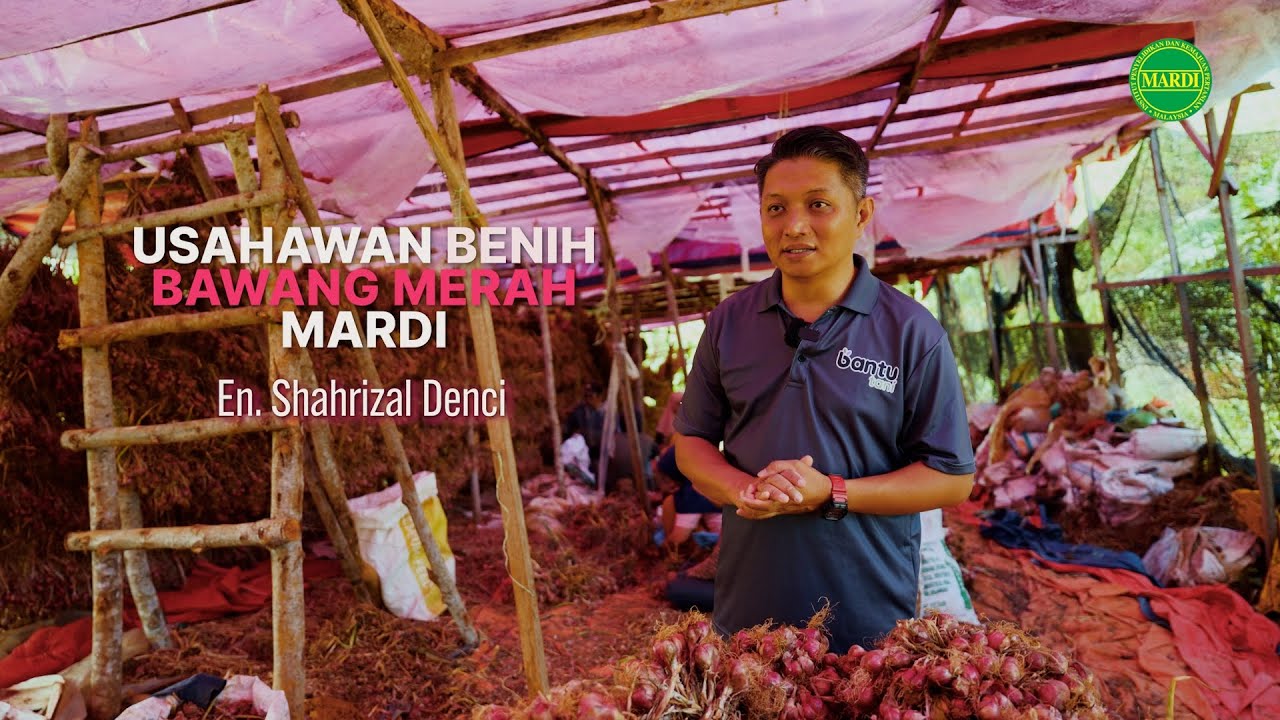 Usahawan Benih Bawang Merah MARDI