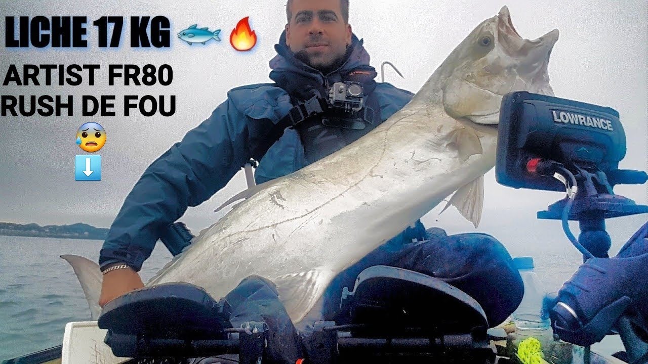GROSSE LICHE 17KG Pêche en mer en traîne au leurre, pesca leccia