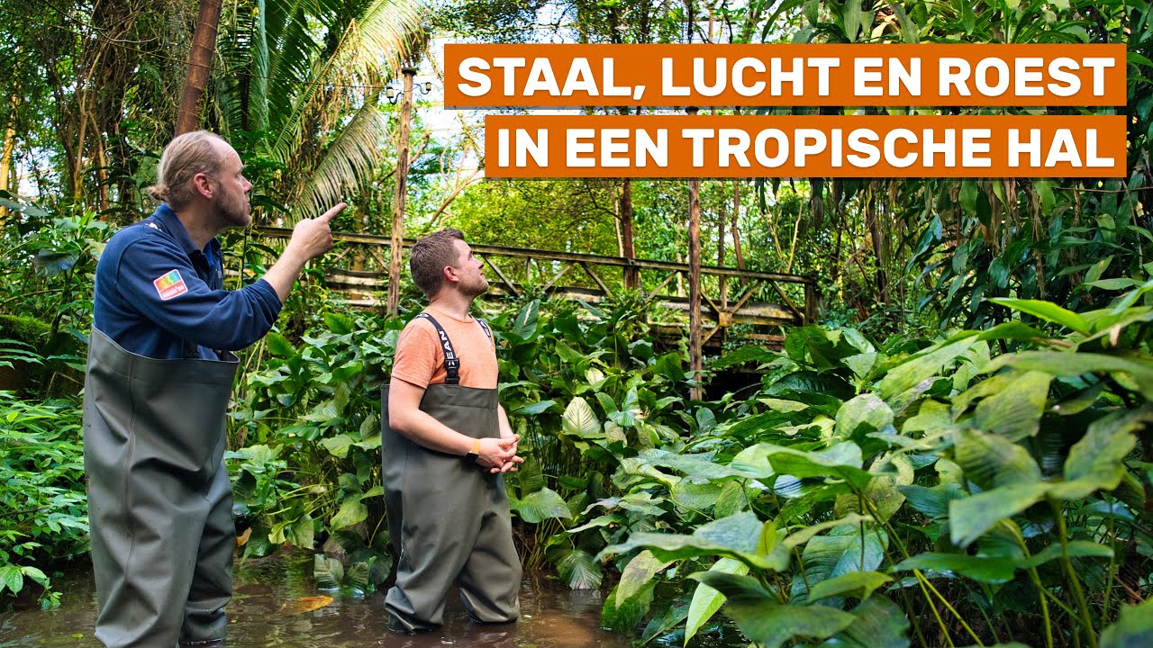 Het eerste overdekte tropisch regenwoud ter wereld staat in Burgers' Zoo