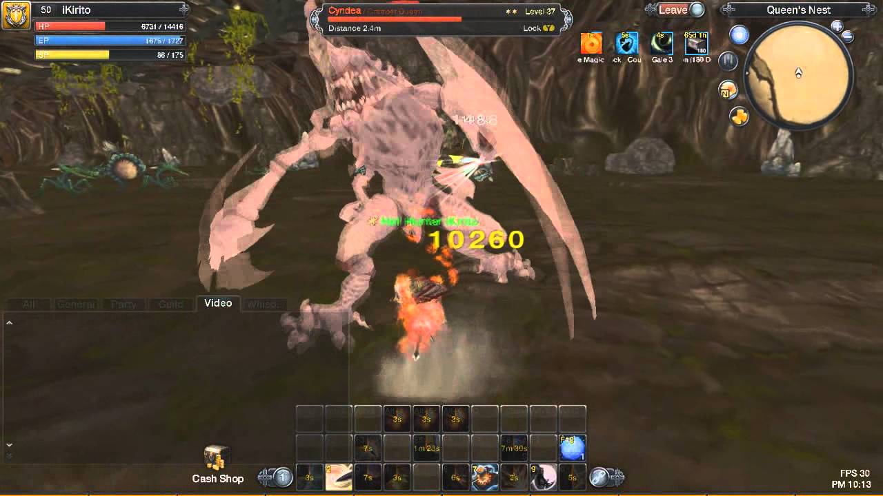 Wild RaiderZ - Cyndea Solo Speed Run (Defender)