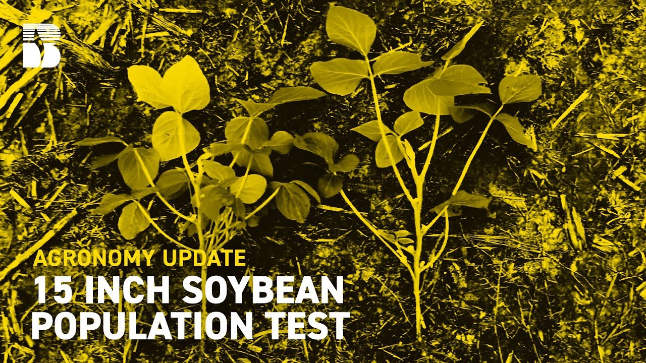 15 inch Soybean Population Test I Beck's Agronomy Update