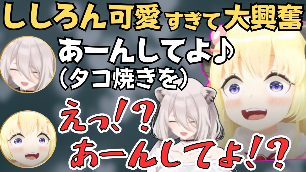ししわたでたこ焼き作ったら一生イチャイチャしてて面白すぎたw【ホロライブ 切り抜き／角巻わため／獅白ぼたん】