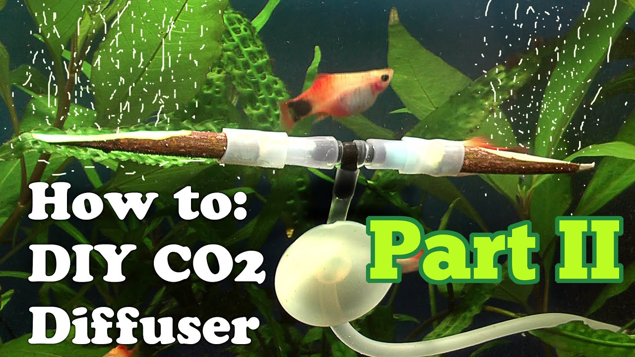 How to DIY cheap CO2 DIFFUSER using Rowen twigs Part 2