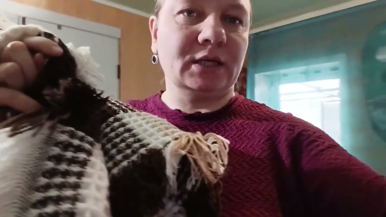 МУЖ ПОМОГАЕТ, ЖАРЮ БЛИНЫ. 