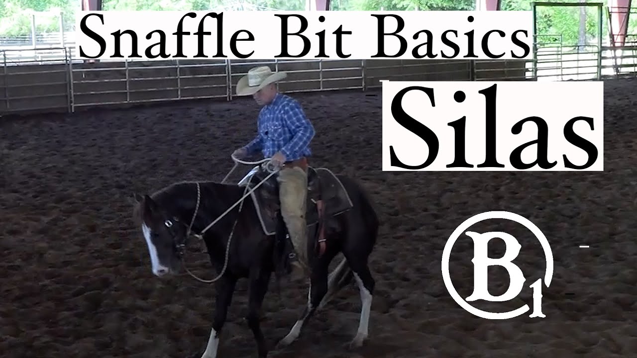 Snaffle Bit Basics With Silas