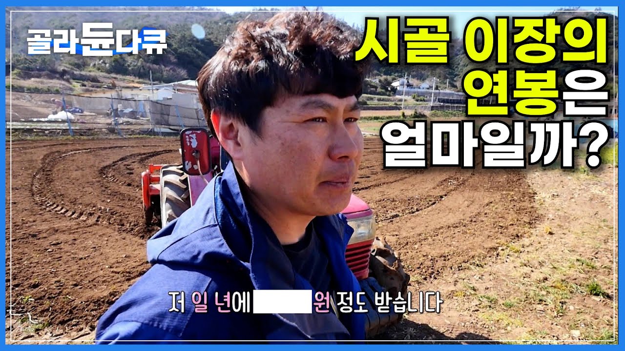 극비사항 대공개! 70대 이상 어르신만 있는 시골 마을에 나타난 이장님의 연봉은?ㅣ하루 2톤가량 나오는 최상급 다시마 사람이 먹기 위해 키우는 게 아니다?ㅣ한국기행ㅣ#골라듄다큐