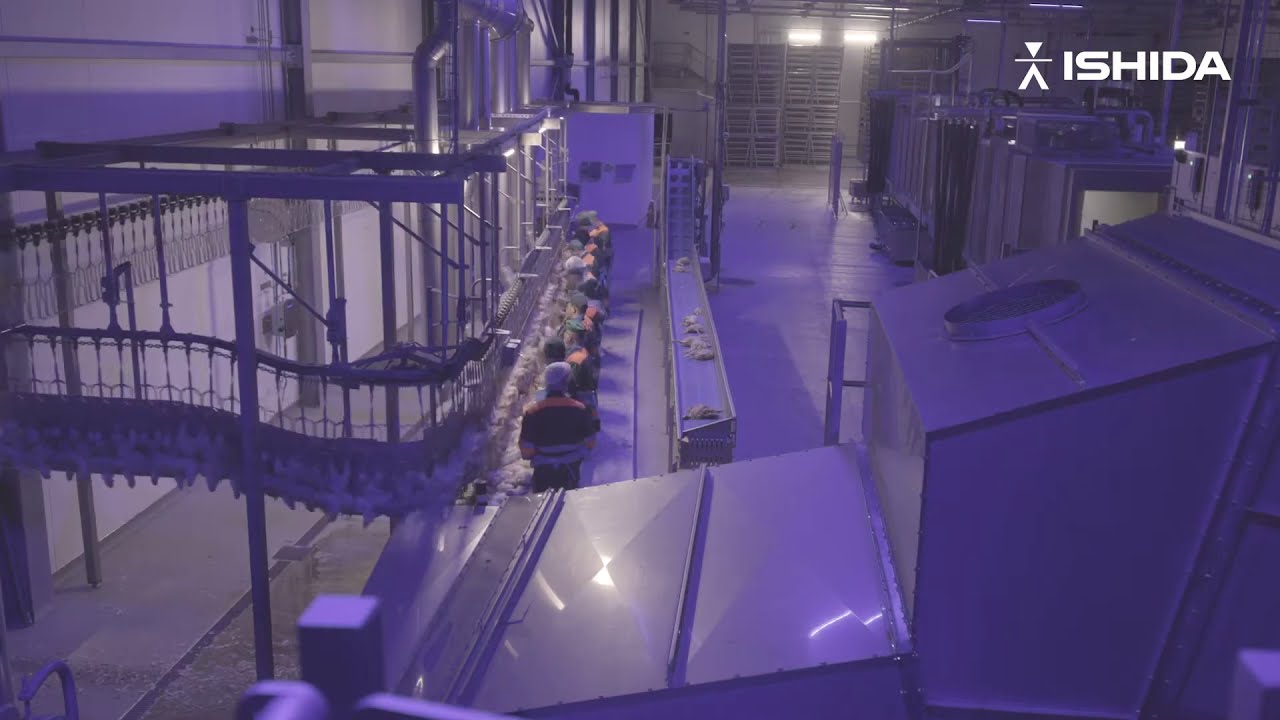 Ishida Europe - Wall to wall processing and tray packing of fresh chicken (POL) - Far Eastern Impex