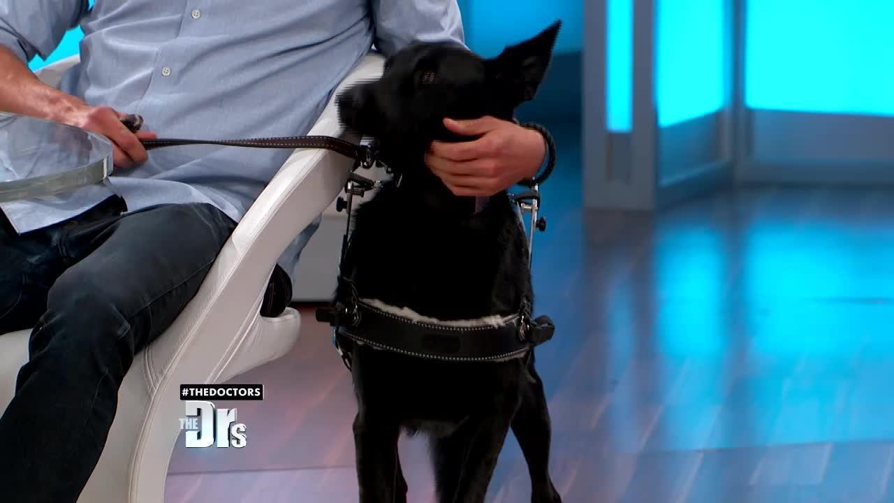 Rescue Dogs Trained To Save Lives