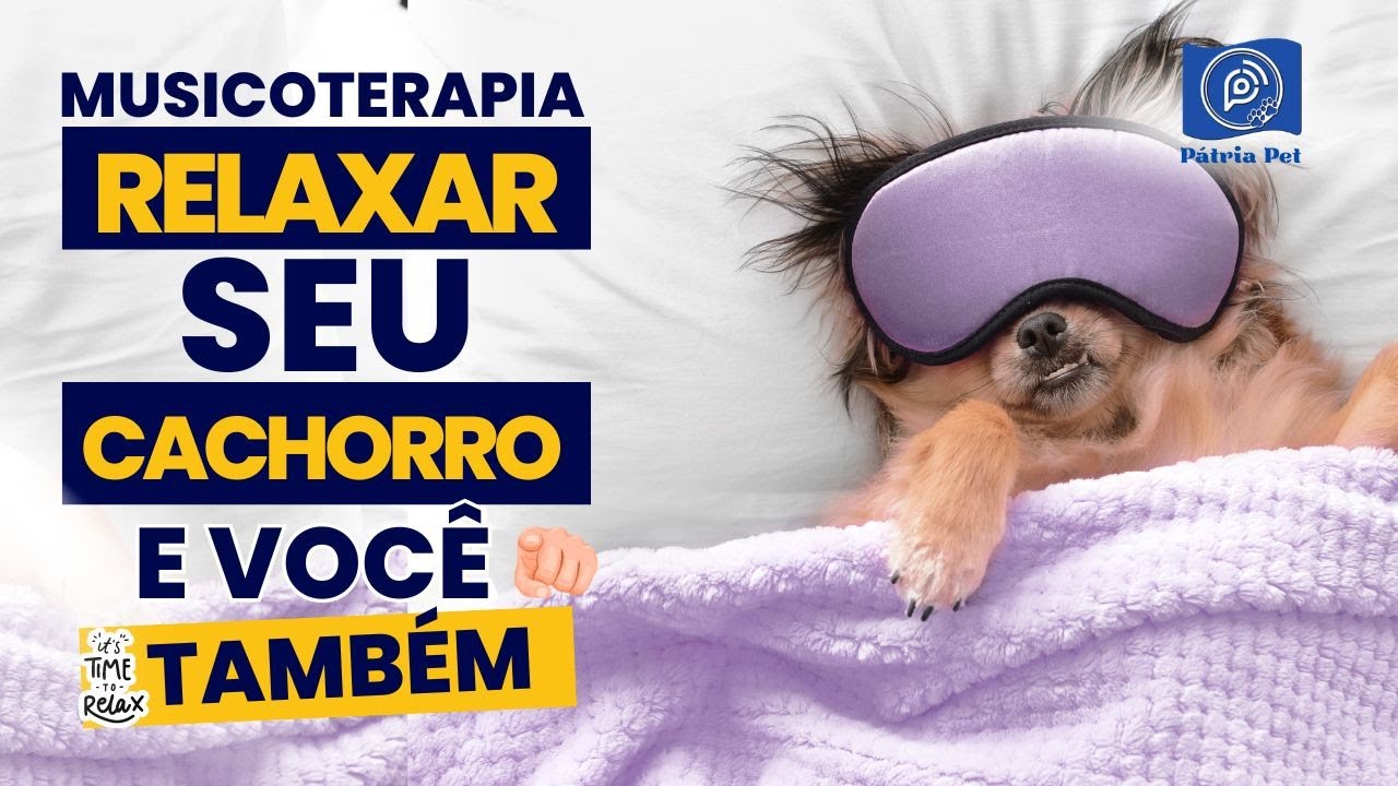 MÚSICA para CÃES com ANSIEDADE 🐶Relaxe seu cachorro Nervoso ou Inquieto! ✅ INDICADO TAMBÉM PARA VOCÊ