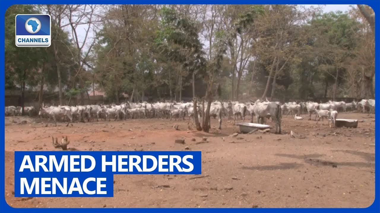 Tension In UNIAGRIC Makurdi Over Influx Of Armed Herdsmen