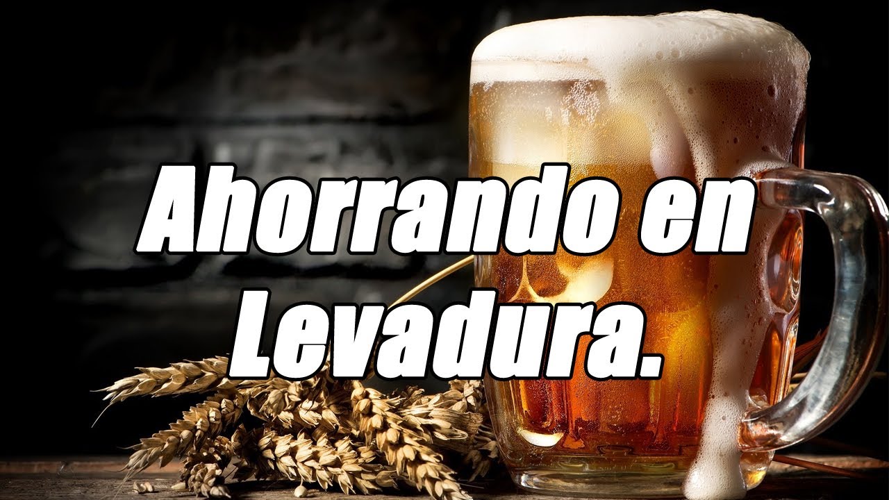¿Cómo podemos propagar levadura en casa?