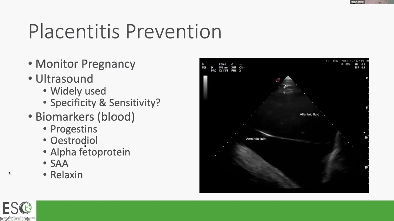 Assessing Placentitis Mares with Dr Joan Carrick Recording